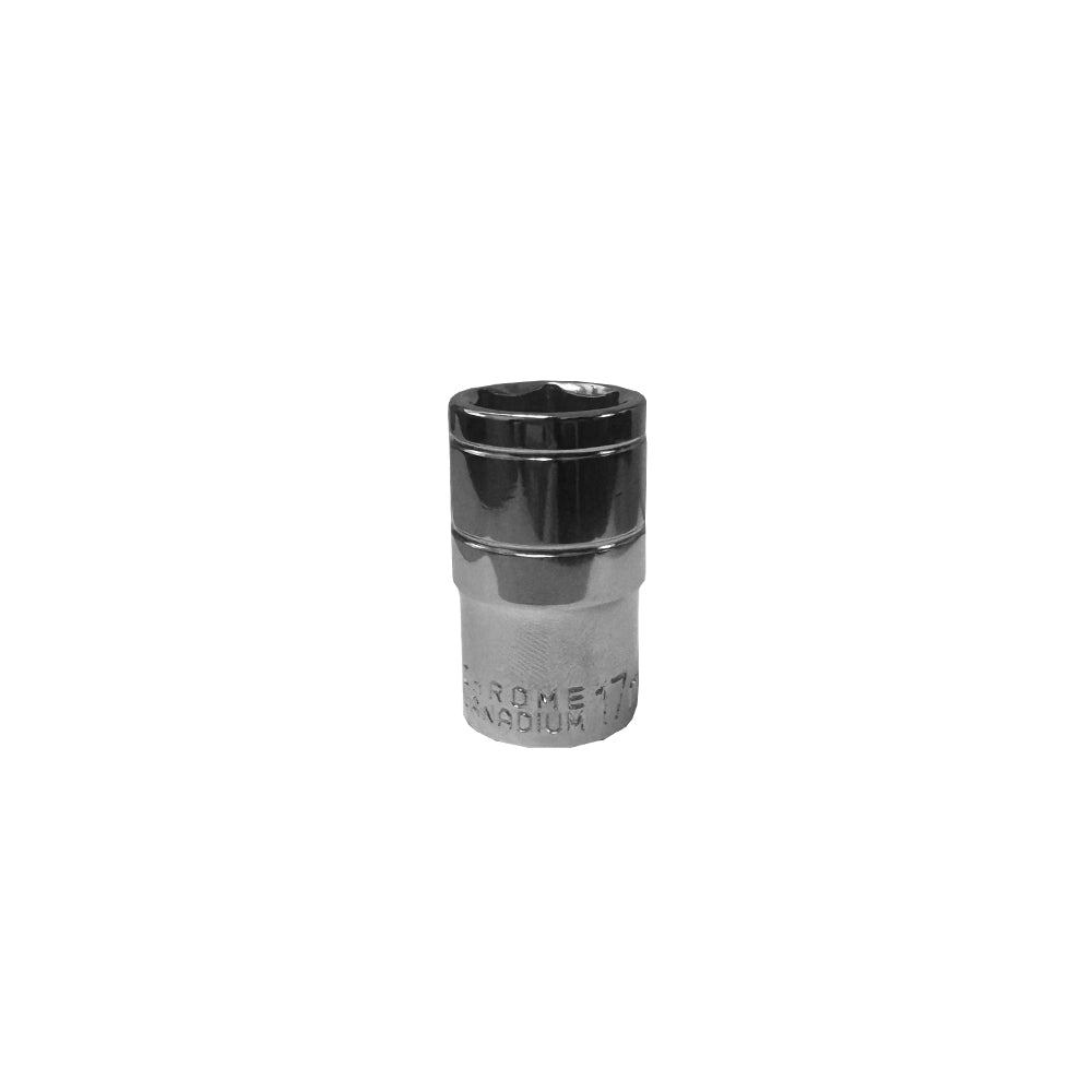 Ground Anchor Screws | Canopy Accessory