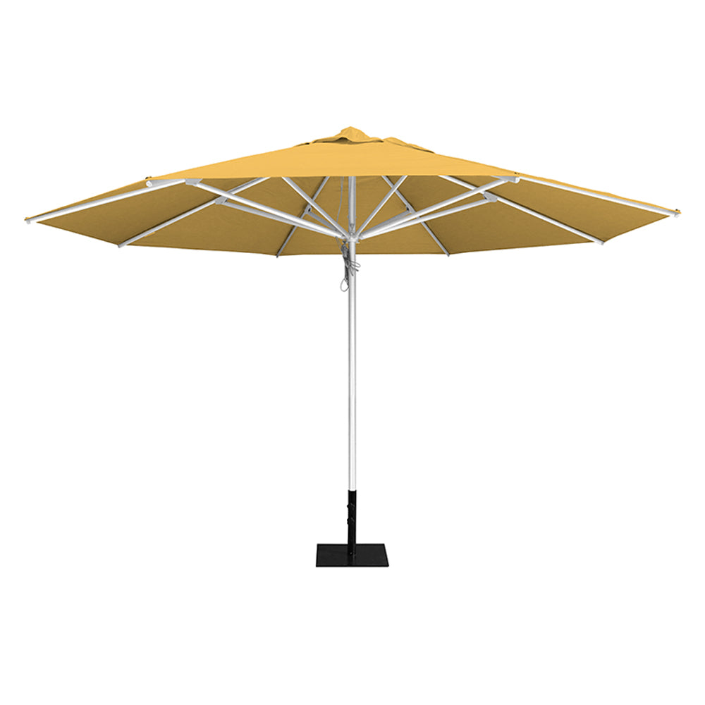 Sunflower 13' saville octagonal outdoor umbrella featuring a white frame and 26lb Base Plate by Extreme Canopy