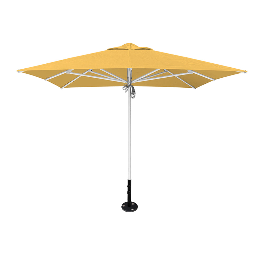 10' x 10' Saville Square | Umbrellas