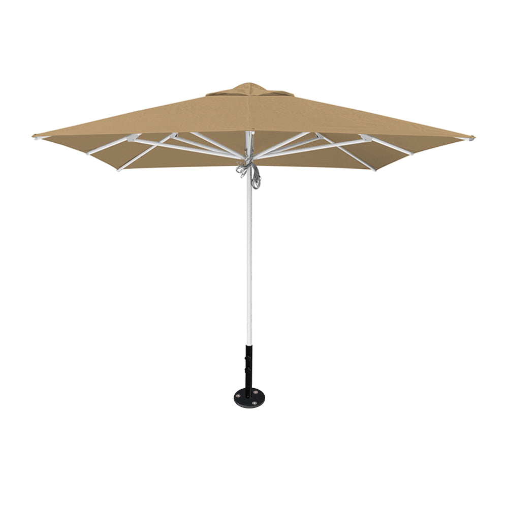 10' x 10' Saville Square | Umbrellas