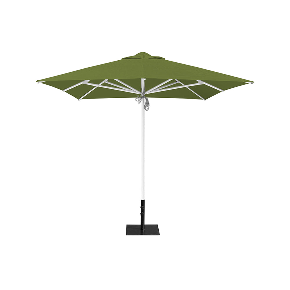8' x 8' Saville Square | Umbrellas