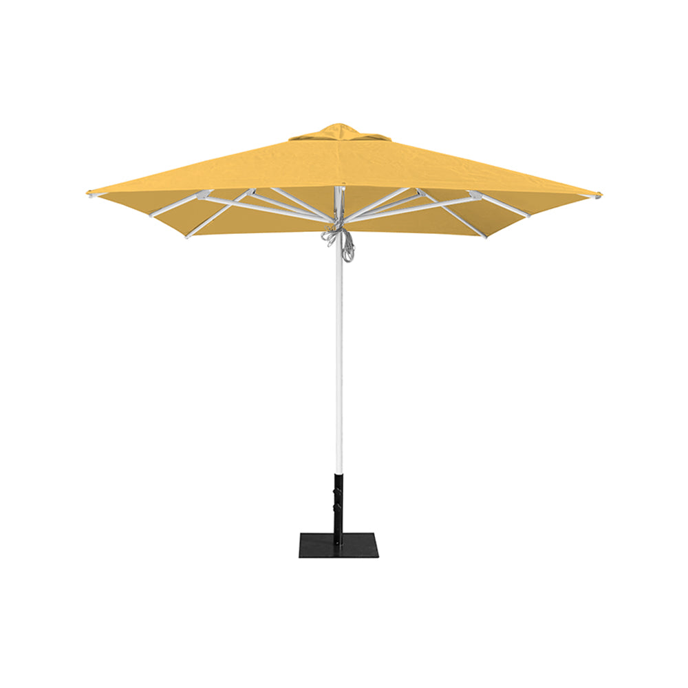 8' x 8' Saville Square | Umbrellas