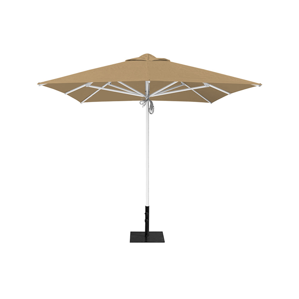 8' x 8' Saville Square | Umbrellas