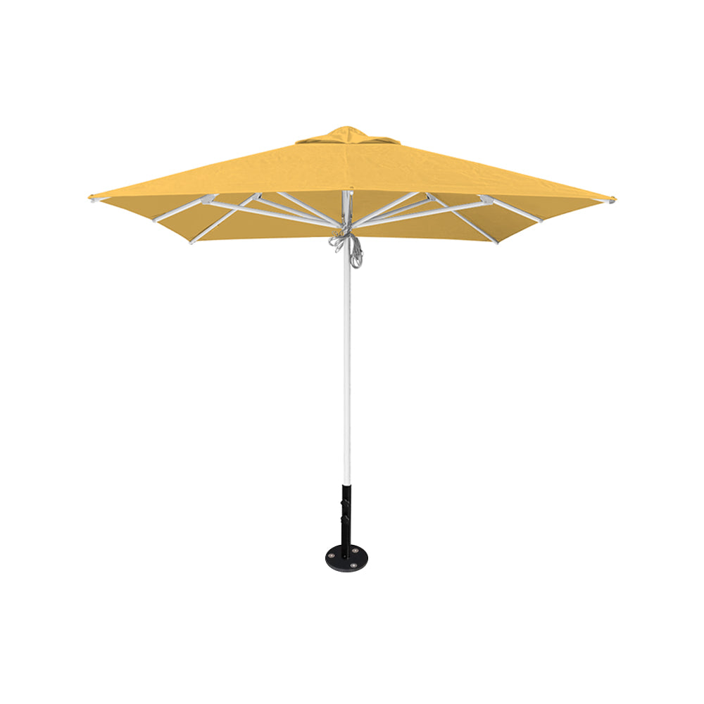 8' x 8' Saville Square | Umbrellas