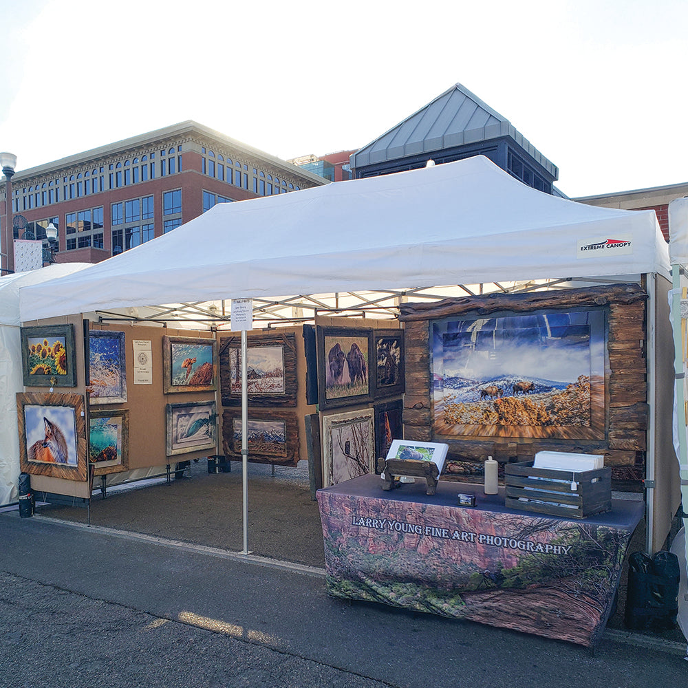 tent show 10' x 20' Art Show Canopy