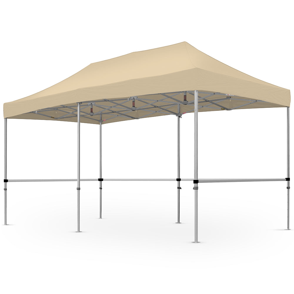 10' x 20' Art Show Canopy | X7 Tectonic