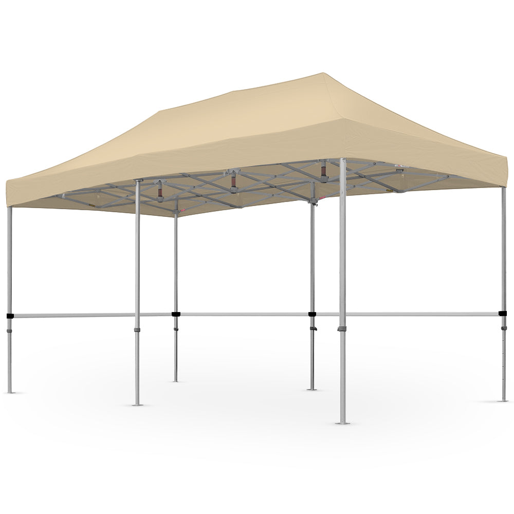 10' x 20' Art Show Canopy | X7 Tectonic