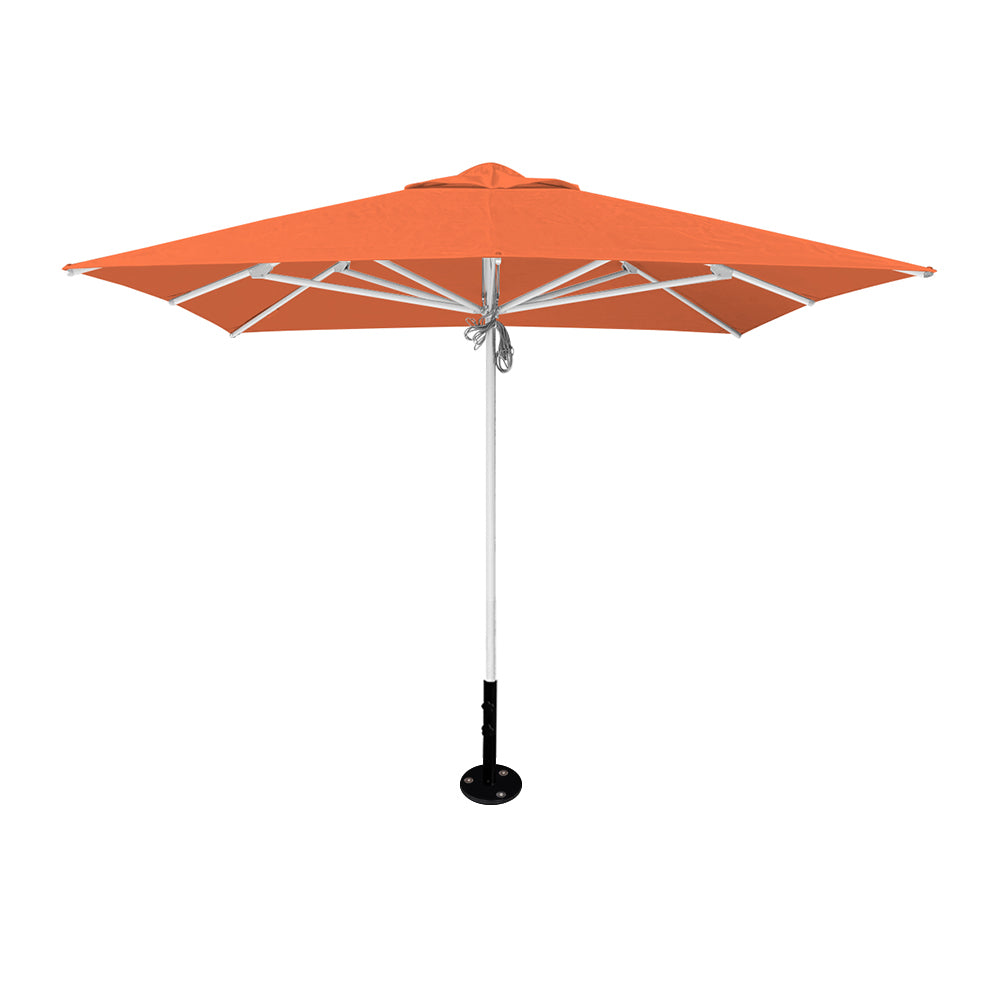 10' x 10' Saville Square | Umbrellas