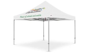 13x13 custom canopy tent PP3