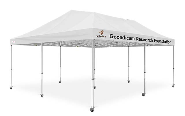 20x20 custom canopy tent PP1