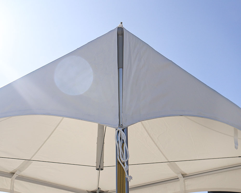 Pavilion canopy tent 3