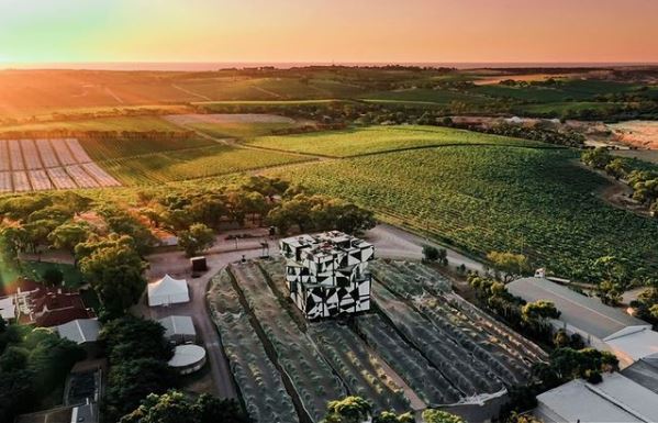 D'Arenberg Winery 10m x 10m Pinnacle